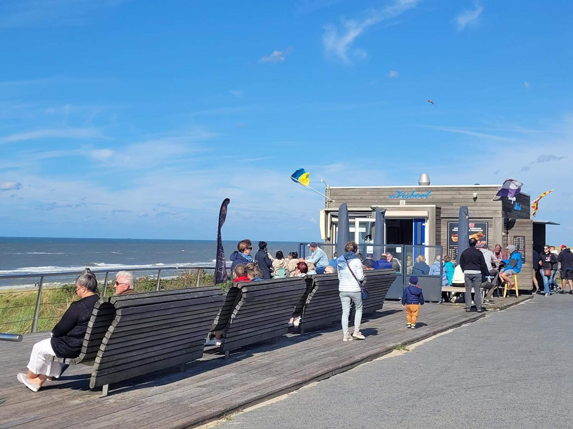 Tiny Villa De Haas Met Infraroodsauna Egmond aan Zee Exterior foto