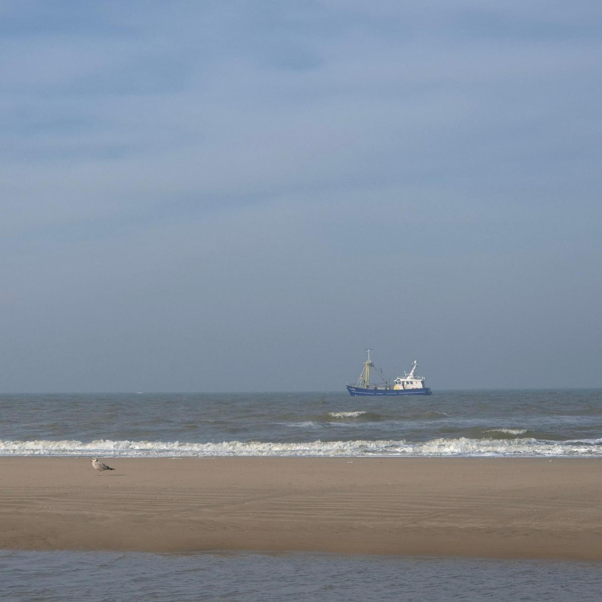 Tiny Villa De Haas Met Infraroodsauna Egmond aan Zee Exterior foto