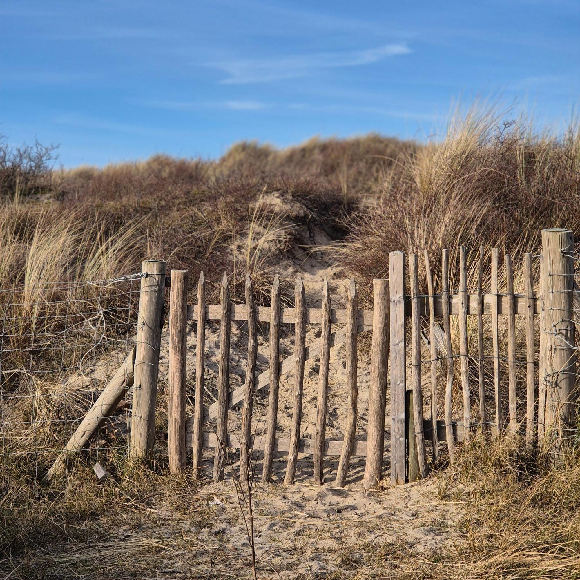 Tiny Villa De Haas Met Infraroodsauna Egmond aan Zee Exterior foto
